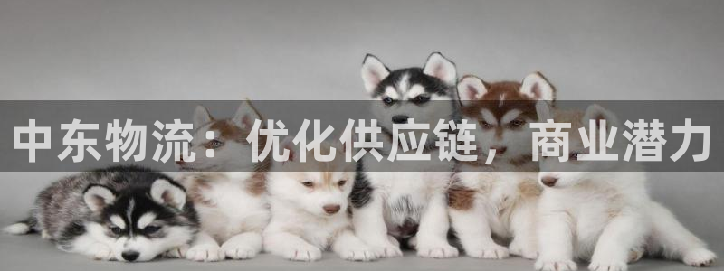 28圈注册步骤：中东物流：优化供应链