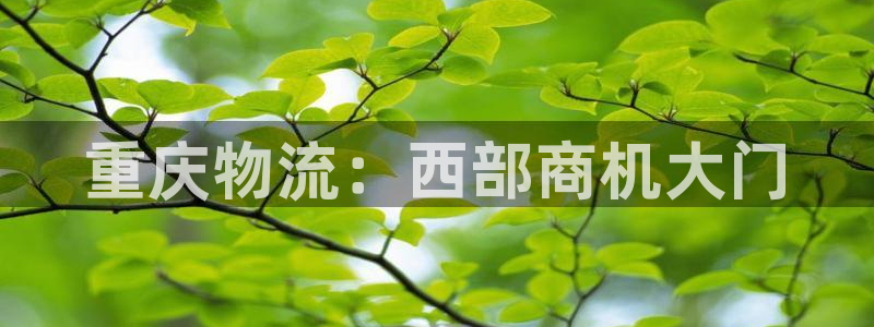 28圈登录不上咋回事：重庆物流：西部