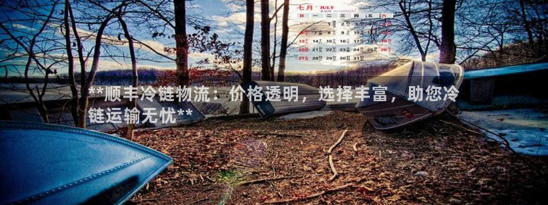 28圈退款教程：**顺丰冷链物流：价
