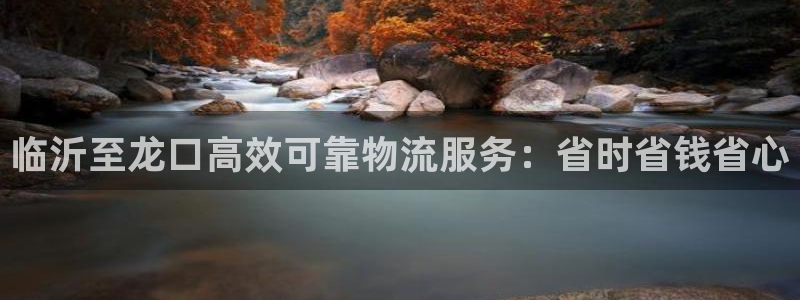 28圈比特28预测在线预测