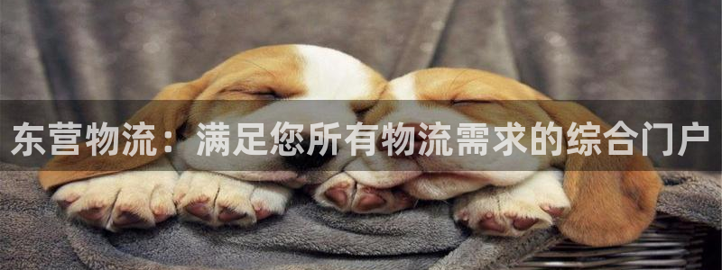 28圈是正规软件吗