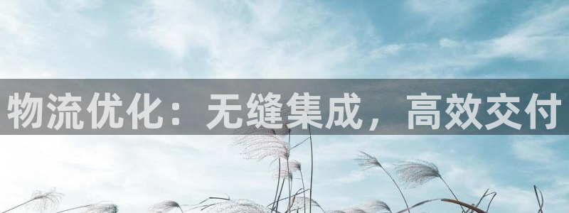 28圈注册用户名是什么：物流优化：无