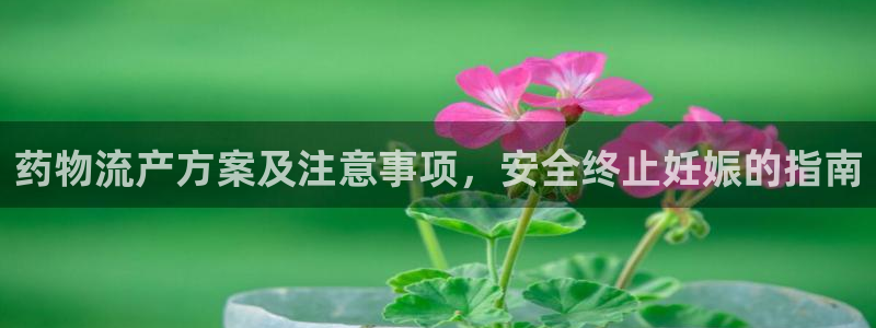 28圈黑款：药物流产方案及注意事项，