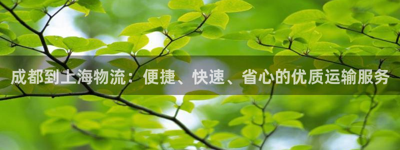 28圈人工客服电话是什么：成都到上海