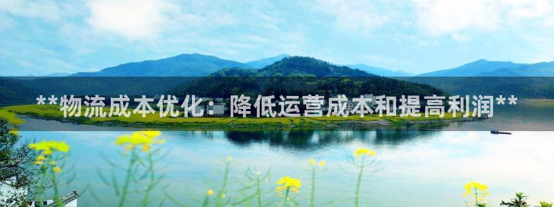 28圈犯法吗：**物流成本优化：降低