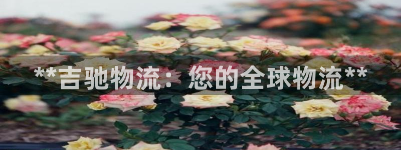 28圈退款：**吉驰物流：您的全球物