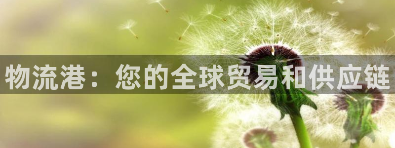 28圈注册链接教程：物流港：您的全球
