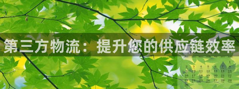 28圈电子：第三方物流：提升您的供应