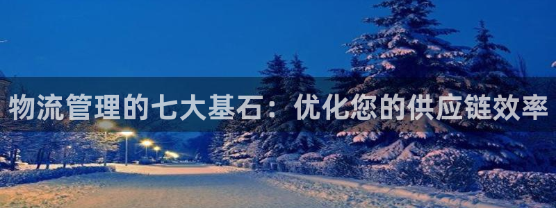 28圈麻将胡了在线试玩：物流管理的七