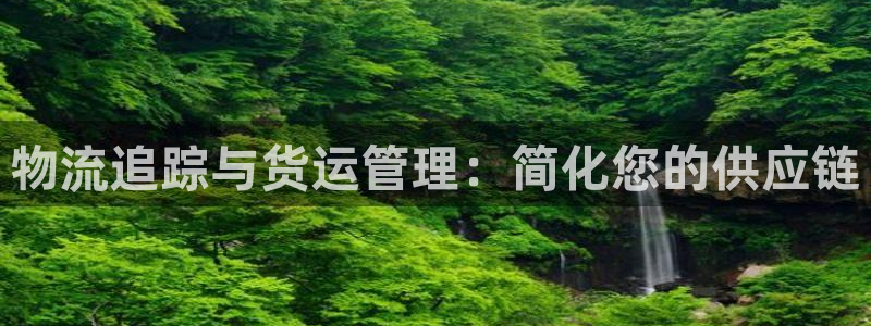 28圈注册链接：物流追踪与货运管理：