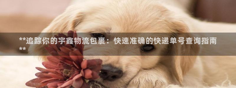 28圈充值方式