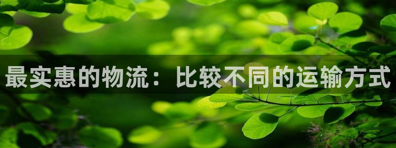 28圈激活码