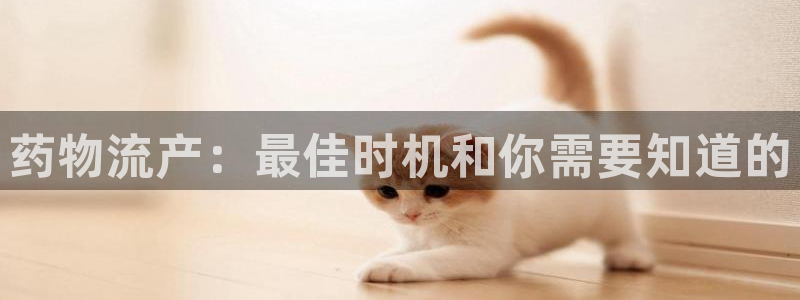 28圈游戏官网入口