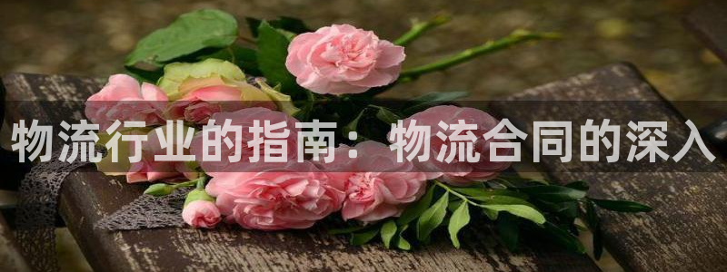 28圈ccm官网版