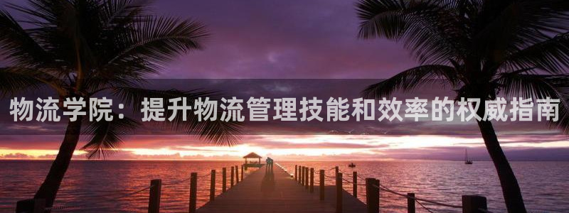 28圈稳吗：物流学院：提升物流管理技