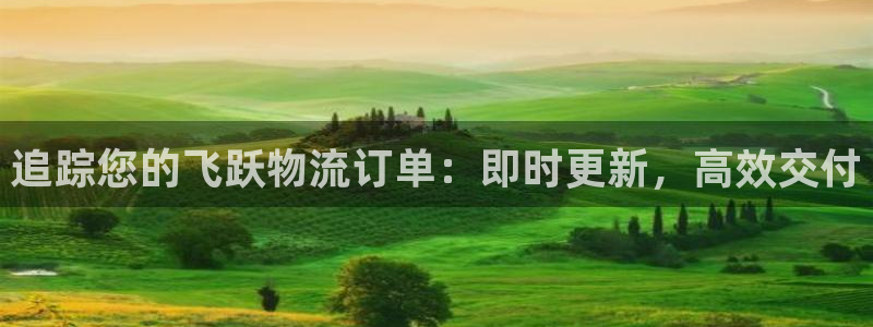 28圈充值方式