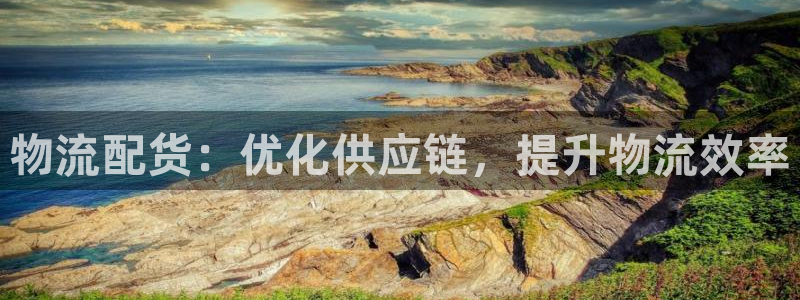 28圈加拿大28