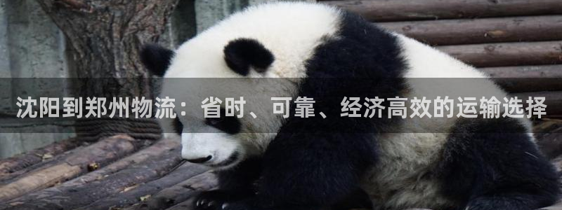 28圈p图上分下款通道