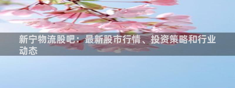 28圈模拟