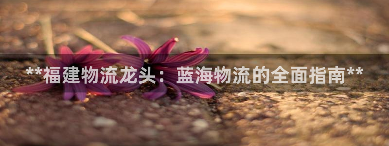 28圈加拿大走势：**福建物流龙头：