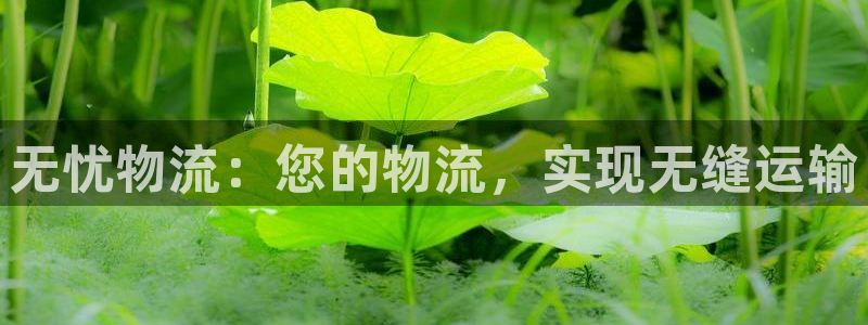 28圈PG电子游戏