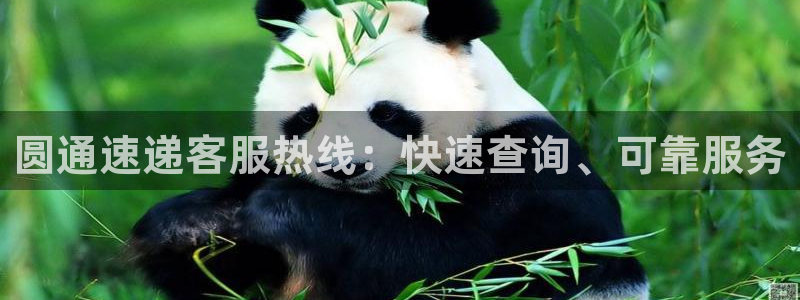 28圈.ccm南宫