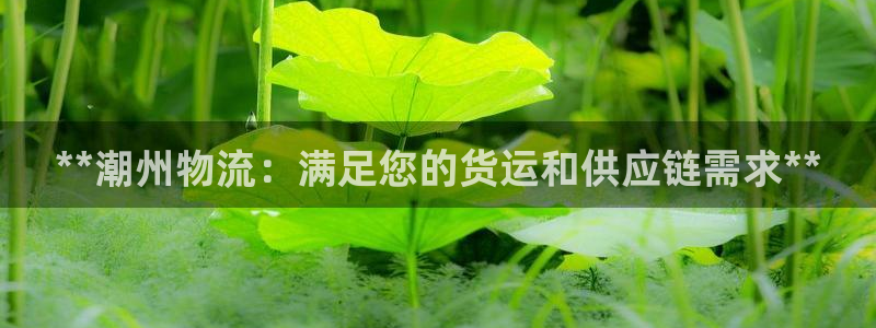28圈.ccmpc29官网版