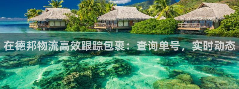 28圈官网版下载：在德邦物流高效跟踪