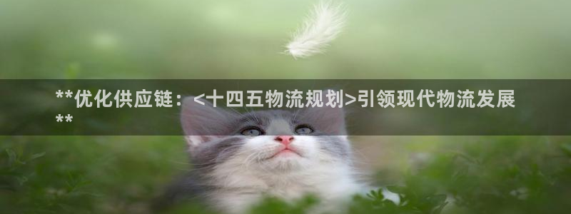 28圈登录不上咋回事：**优化供应链