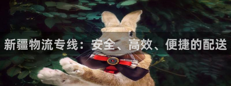 28圈加拿大6.0
