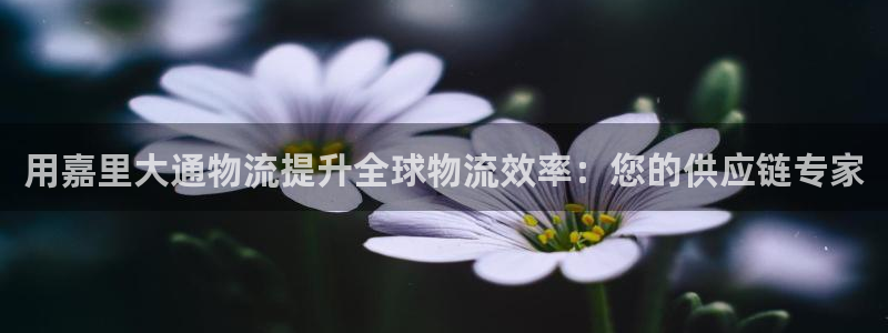 28圈龙虎：用嘉里大通物流提升全球物