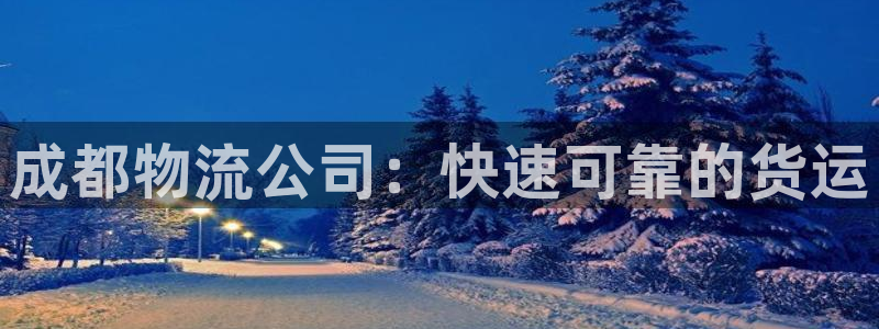 28圈南宫娱乐官网：成都物流公司：快