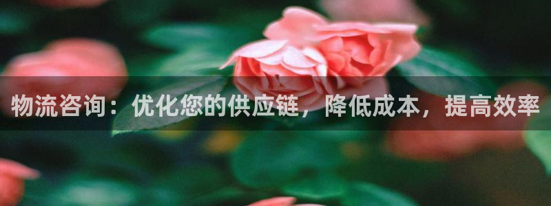 28圈.ccm