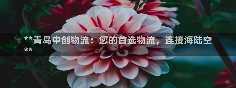 28圈登录流程