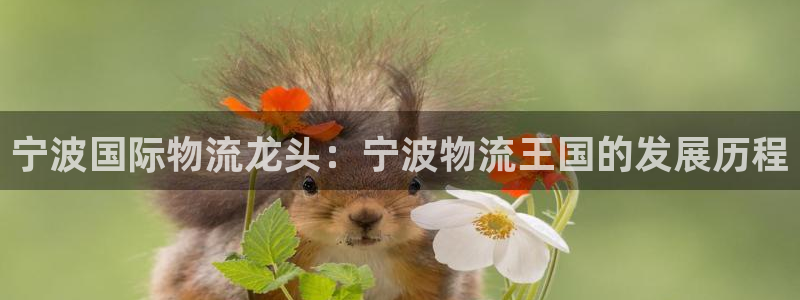 28圈绿骨头