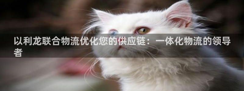 28圈注册网页版