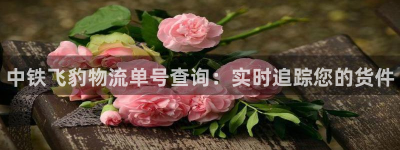 28圈软件：中铁飞豹物流单号查询：实
