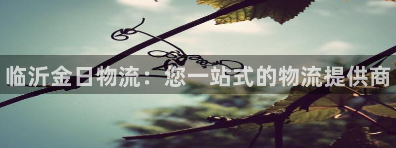 28圈登录网