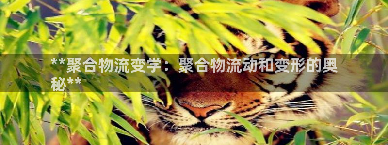 28圈反水
