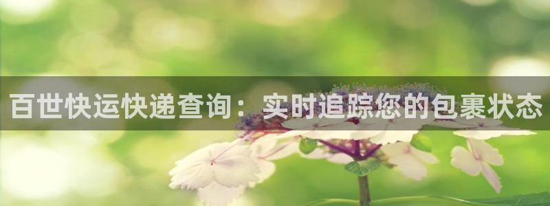28圈反水什么时候到