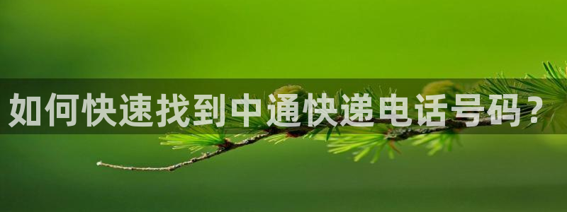 28圈官网多少