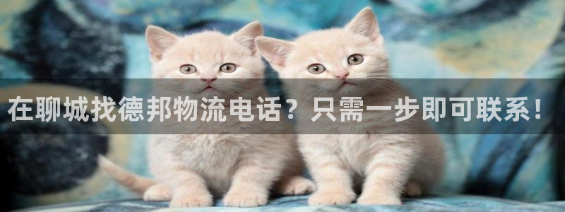 28圈官方平台：在聊城找德邦物流电话