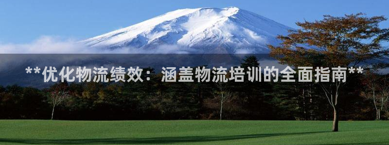 28圈登陆网：**优化物流绩效：涵盖