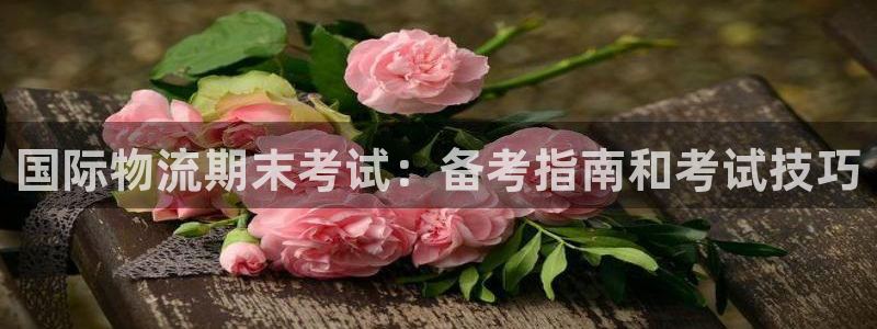 28圈电子游戏