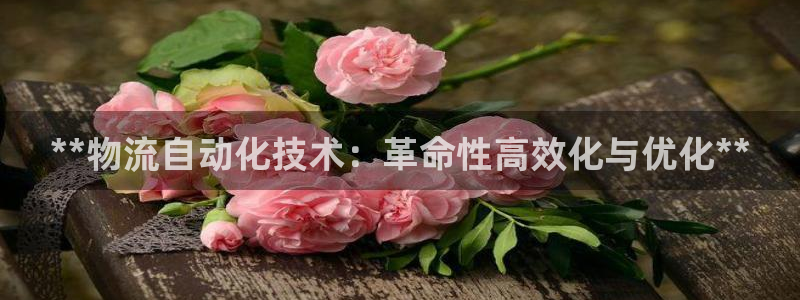 28圈怎么下载教程