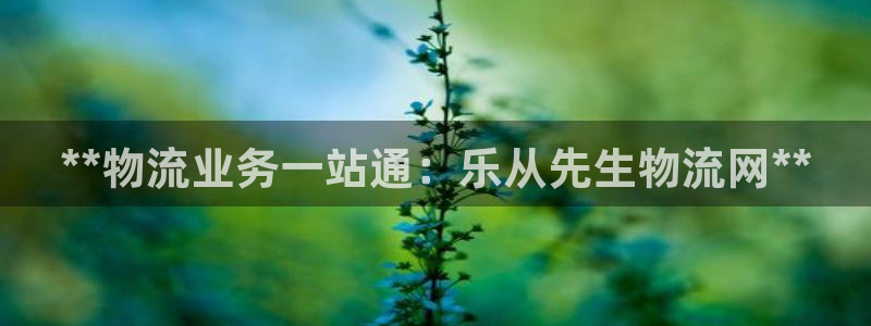 28圈加拿大预测：**物流业务一站通