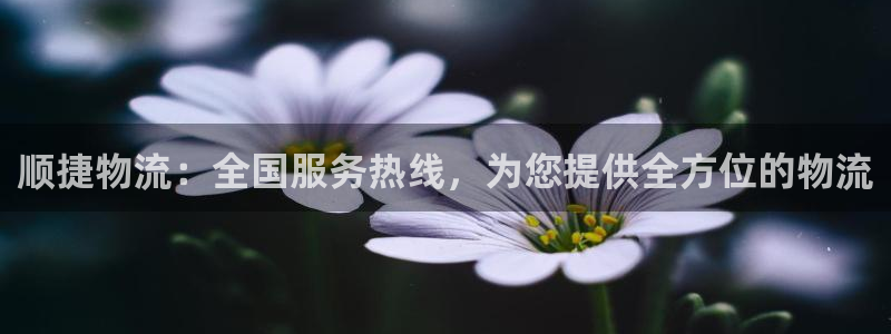 28圈是什么是赌博吗?