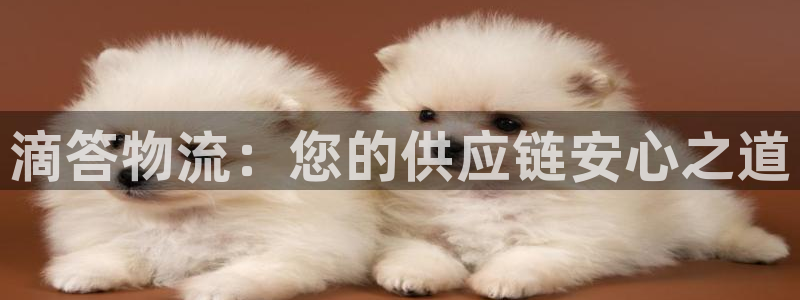 28圈充值金额随便：滴答物流：您的供