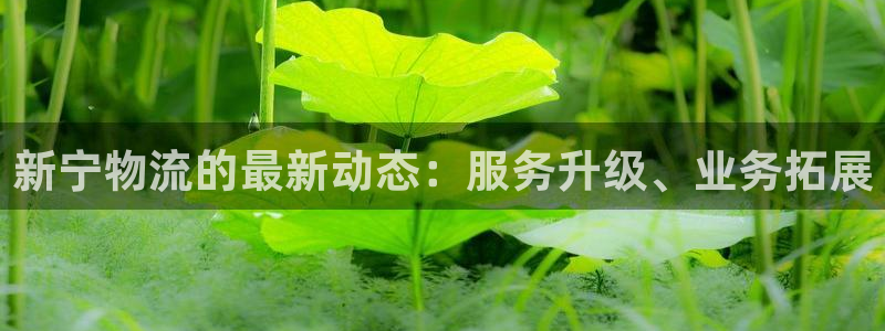 28圈加拿大最新版