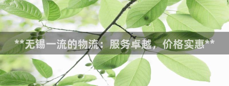 28圈旗下